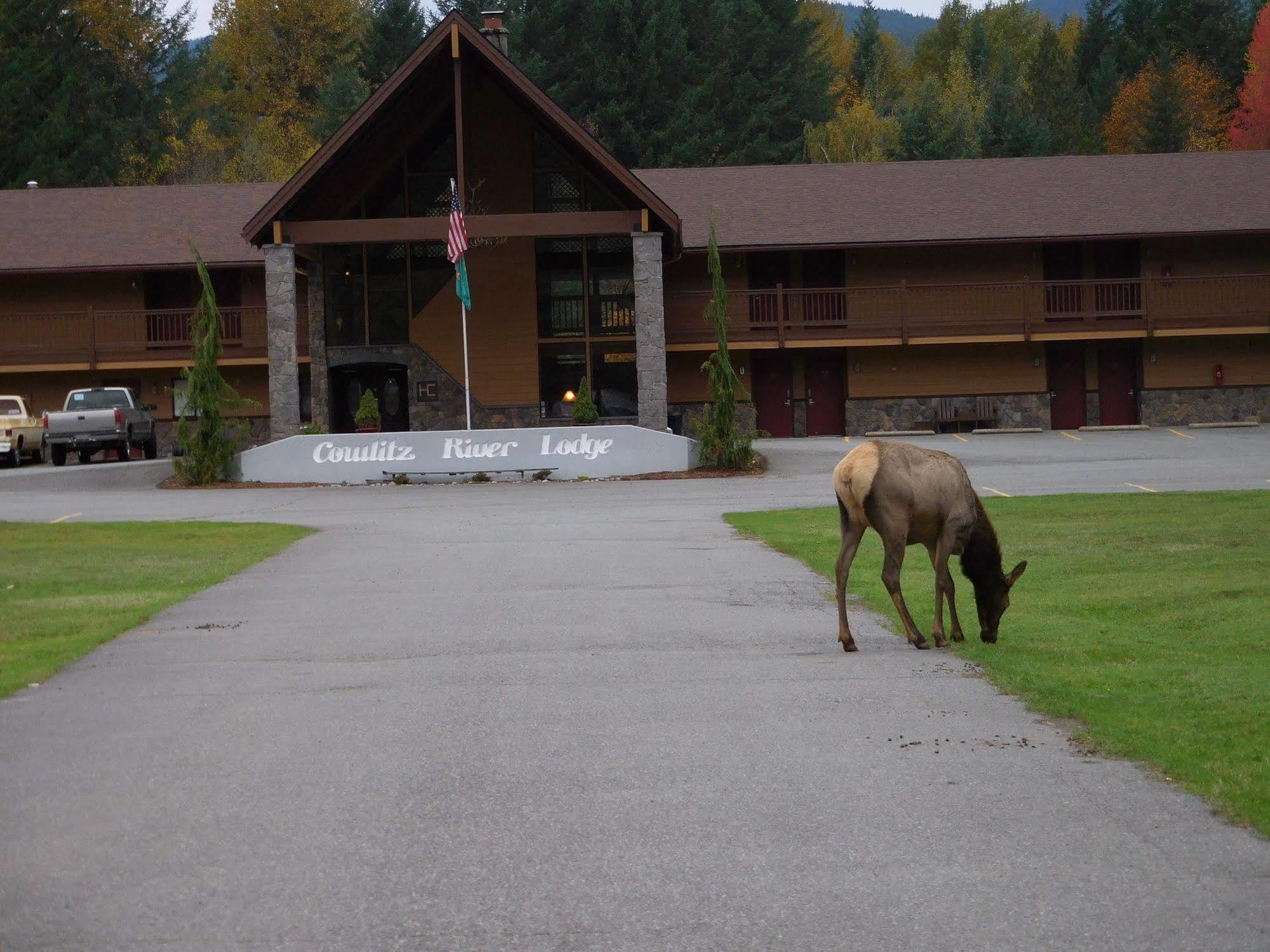 Cowlitz River Lodge Packwood Bagian luar foto