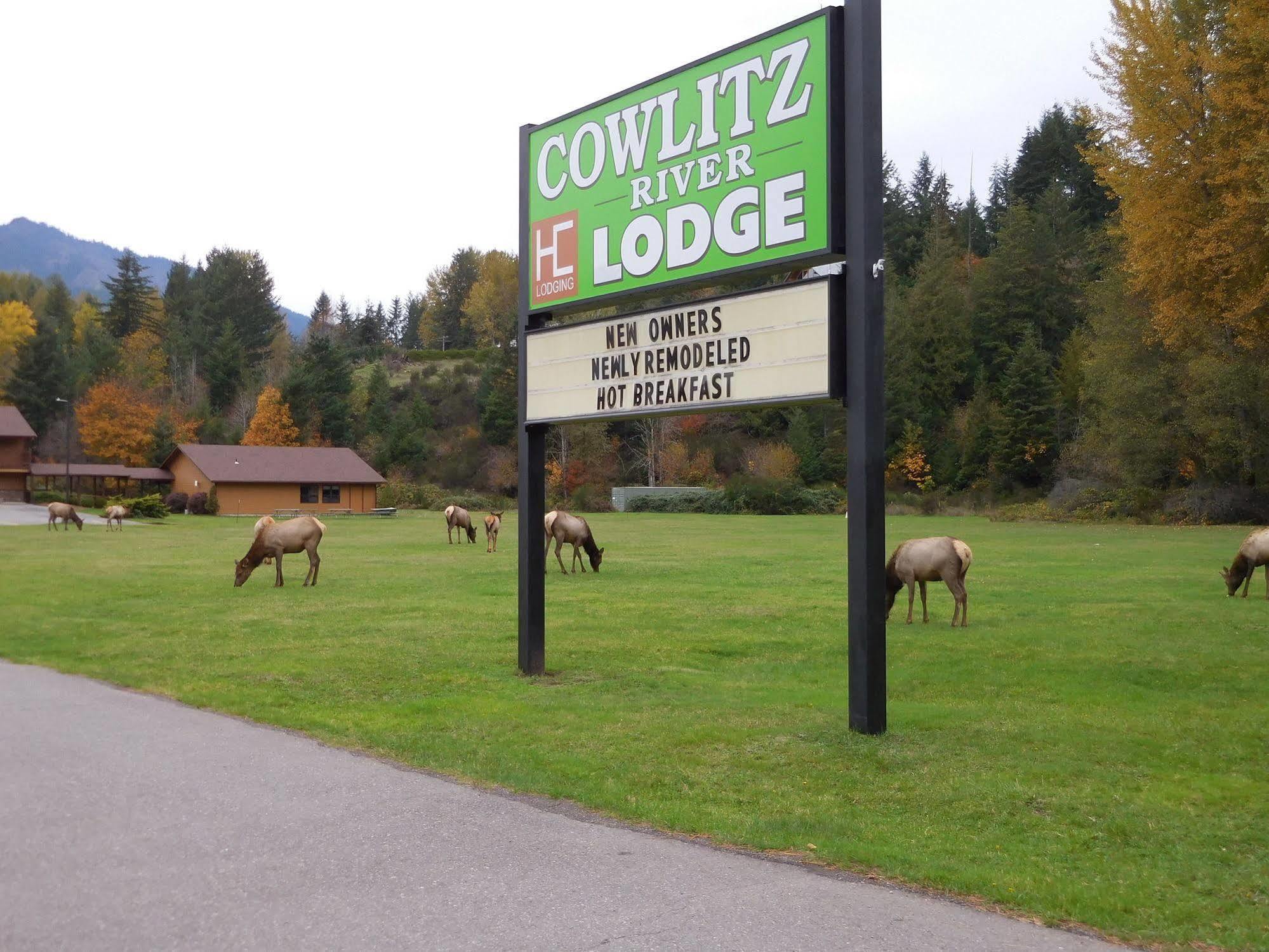 Cowlitz River Lodge Packwood Bagian luar foto